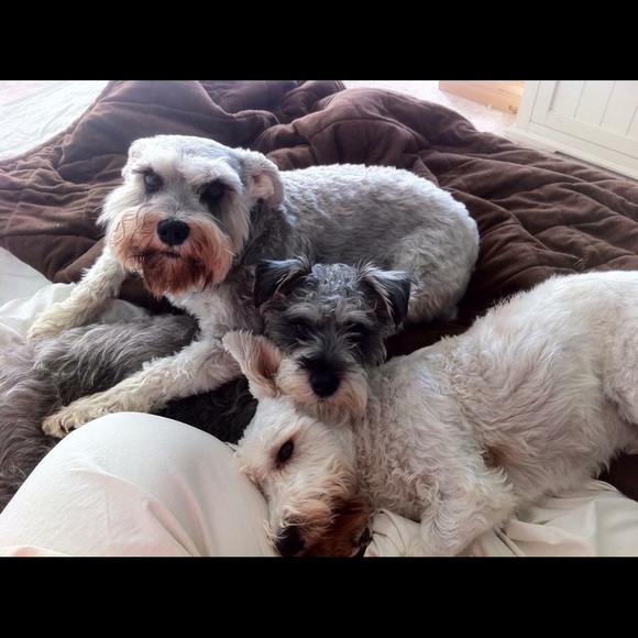 Heya! - Picture 2 of 2